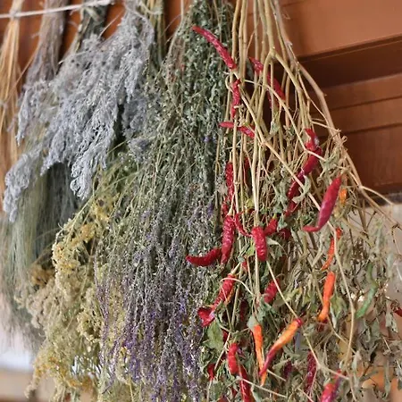 Ai Pradons Farm stay